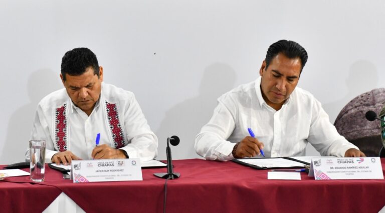 Democracia virtual/Aliados por la paz