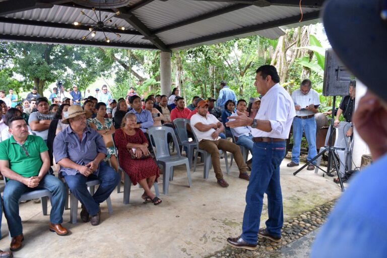 Con Sembrando Vida, el campo tabasqueño tiene larga vida: May Rodríguez supervisa vivero en Teapa