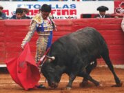 Fallece el torero Rafael Ortega Blancas tras varios días en el hospital
