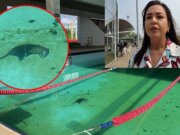 Titular del Injudet arrebata y se queda con celular de reportero del Heraldo de Tabasco