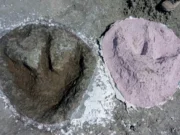 Descubren el mayor yacimiento de huellas de dinosaurios del Reino Unido
