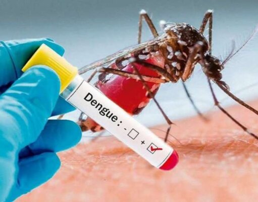 Tabasco y Chiapas realizarán operativos fronterizos para la vigilancia, prevención y control del dengue