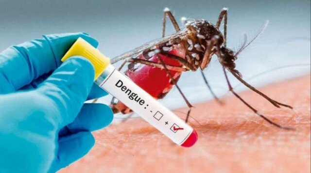 dengue