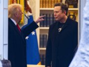 Se terminó la luna de miel: Estalla pleito entre Trump y Musk