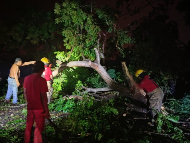 IMG-20250611-WA0684