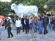 Avanza construcción del Stand Ganadero en el Parque Tabasco ‘Dora María’