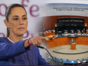 Plan B, reforma sin fondo