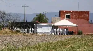 Descubren-en-rancho-Izaguirre-100-tipos-de-ADN-diferentes