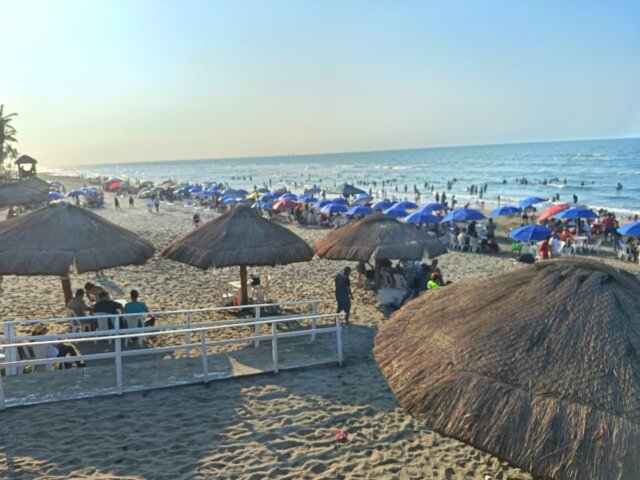 IMG-20260403-WA0301