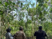 Asegura FGR toma clandestina de hidrocarburo en Cárdenas, Tabasco