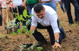 Pone en marcha Javier May Jornada de Reforestación 2026