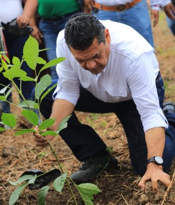 Pone en marcha Javier May Jornada de Reforestación 2026